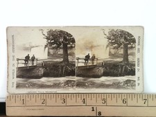 Genesee Falls Rochester Stereoview The World in the Stereoscope c. 1900s School picture