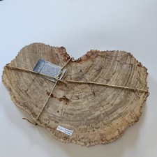 KCGS Natural Petrified Wood Slab from Indonesia US SELLER 4+LBS #0145 BEAUTIFUL picture