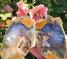 Priday Plume Agate - Museum Polished - Rare - Beautiful Flower Plumes (151 gram) picture