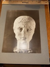 Antique Head of Lapith from Metope of Parthenon Greek Sculpture Mounted Photo picture