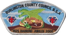 Burlington County Council NJ 2000 Diamond Jubilee CSP Bdr (AR5950) picture