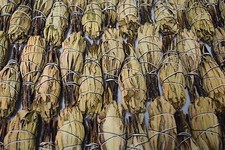 Yerba Santa Smudge Incense 3