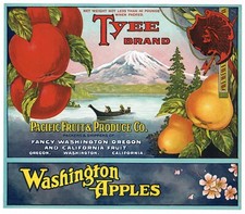 APPLE CRATE LABEL 1920S NATIVE AMERICAN INDIAN TYEE CALIFORNIA WA OREGON PEAR picture
