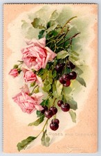 [40j10] Postcard Raphael Tuck Unused, Roses and Cherries picture