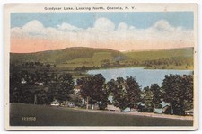 VTG Goodyear Lake Oneonta NY Vintage Postcard Scenic View Chas. W. Hughes picture