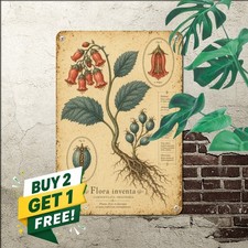 vintage botanical illustration plate rooted plant anatomy diagram picture