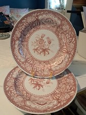 VTG Set-2 Dinner Plates Spode Archive Collection 