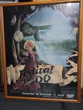 Rare 2000 Niagara Falls NY Festival of Lights Poster Festival 2000 Framed 30x24 picture
