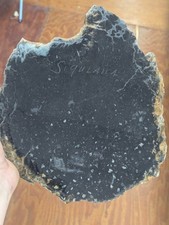 Huge Rare Black Petrified Wood Cluster Nice Agate Crystals Wow Big Slab picture