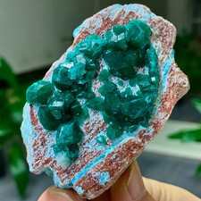 123G Natural green dioptase emerandine gemstone cluster crystal specimen picture