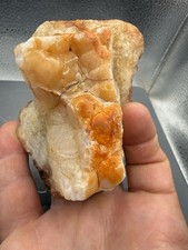 Fossilized Indiana Geode Quartz Botryoidal Red Agate Bryozoan Slice 2,000 Carats picture