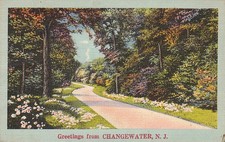  Postcard Greetings from Changewater NJ  picture
