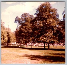 Vtg Color Snapshot Boston Common Public Park Large Trees People Relaxing Lawn picture