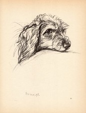 1940 Antique Dachshund Print Lucy Dawson Dachshund Wall Art Illustration  7116L picture