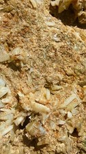 High-Grade Gold in Quartz Ore by the Gram - Visible Native Gold California Au picture