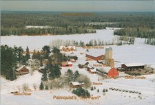 Palmquist's The Farm Brantwood WI Winter Lodge Cross-Country Ski Trails Postcard picture