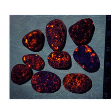 Fluorescent Sodalite Stones 9 Piece Lot 1 lb Galaxy Pattern Lake Michigan Wi  picture