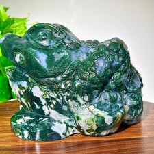 10.36lb Natural aquatic plants, hand carved cicadas, rare collectibles picture