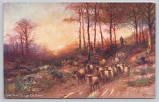 Raphael Tuck Oilette The Path Through The Forest Sheep Postcard picture