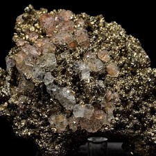 Natural Pink Fluorite on Golden Pyrite - Huanzala Mine Peru - 0.99 lb Specimen picture