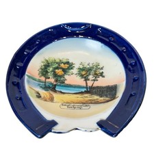 DETROIT MINNESOTA MN Antique LAKE VIEW SPRINGS Souvenir TRINKET COBALT DISH picture