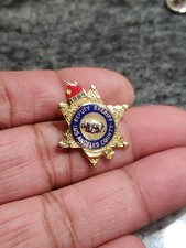 LASD Los Angeles County Deputy Sheriff Pin picture