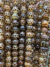 230 Pcs Beautiful Tibetan Natural Agate Dzi *Leopard Spot* 8mm Round Beads picture