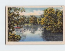 Postcard Lake Trees Nature Scenery picture