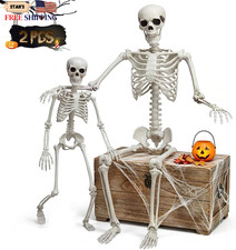 5.4ft & 3ft Halloween Life Size Skeleton with Movable Joints for Halloween picture