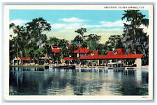 c1930's Electric Drive Glass Bottom Boats, Beautiful Silver Springs FL Postcard picture