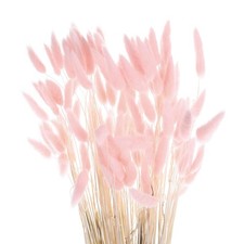 MECCANIXITY 120pcs Dried Rabbit Bunny Tails 24