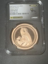 VeeFriends 2025 Peaceful Pelican RC Copper Medal GEM PROOF NGC Rookie /400 picture