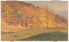 Frederic Edwin Church Autumn Woods Vintage Art Photo Reprint Wall Art picture