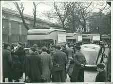 1935 Society For Protection Of Animals Jardin Des Plantes Zoo Photo 7x9 picture