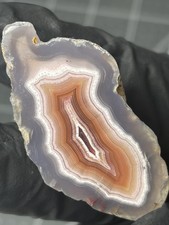 Laguna Agate Excellent Banding Mexico Polished Specimen picture