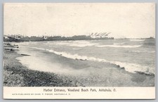 Ashtabula OH Harbor Entrance Woodland Beach Park Postcard Chas F Fisher 1900s picture
