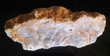 Amazing Blue Agatized Crinoid Stems Bed. Cumberland County KY. 520 grams picture