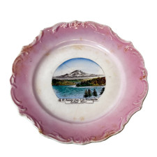 BOTHELL Mt Rainer WA WASHINGTON Antique Souvenir RARE China Dish Plate picture
