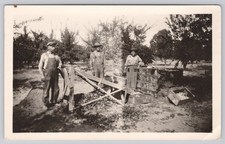 c. 1930s California Prune Harvest Orchard Workers Fruit Grader Photograph picture