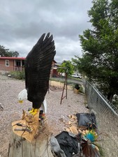 8ft 6in bald eagle wood carving picture