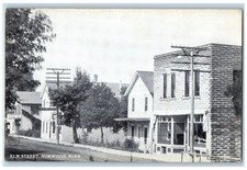 c1910's Elm Street View Houses Norwood Minnesota MN Unposted Antique Postcard picture