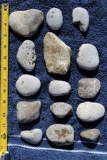 Lot of 15 Unpolished Petoskey Stones picture