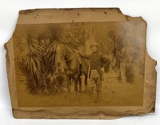 Antique Cabinet Card soldier & horse tropical scene late 1800s-early 1900s photo picture