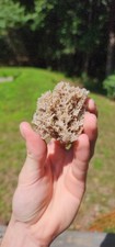 Reticulated Cerussite Crystal Cluster, Nakhlak Mine, Iran (Twinned) picture