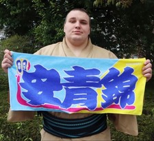 Aonishiki Nobori-Style Sumo Towel – Imabari Made Japanese Towel Japan Cotton 52 picture