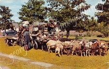 GA~GEORGIA~JEFFERSONVILLE~GOAT MAN CHESS MCCARTNEY HAS TRAVELLED 80K MILES picture