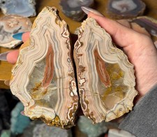 Rare Wave Hill Agate Pair | Collector Grade Australian Fortification Agate picture