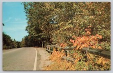 Postcard Gretting from Grand Marsh, Wisconsin Road View picture