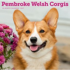Carousel Calendars,  Pembroke Welsh Corgis 2027 Wall Calendar picture