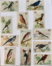 Vintage 1918 Dwight’s Soda Cow Brand 2nd Series-12 lot Useful Birds of America picture